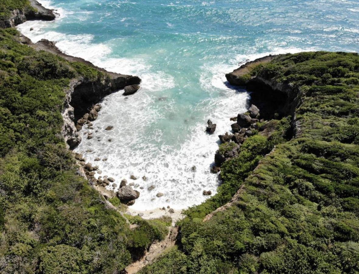 Villa Estheria แซนต์-อาน ภายนอก รูปภาพ